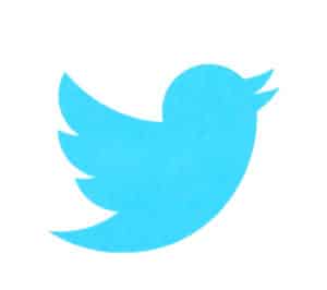 Logo Twitter